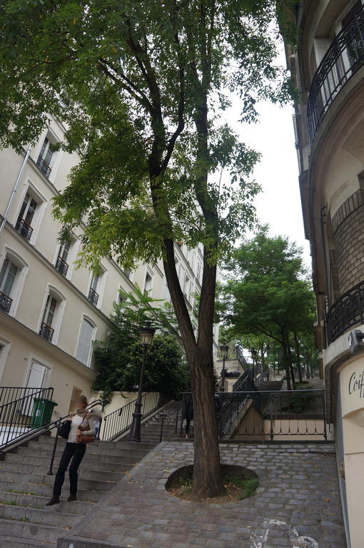 Studios De Charme A Montmartre Παρίσι Εξωτερικό φωτογραφία